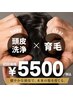 【爽快/毛穴洗浄】ドライヘッドスパ+ジェットクリア(頭皮診断付)5,500円