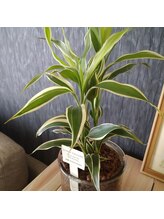 ナチュール(.Nature.)/