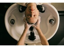 パームハウス(Palm House)/“骨膜”にアプローチ