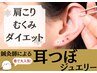 新登場！【耳つぼジュエリー（両耳15粒）】通常7,000円→3,500円