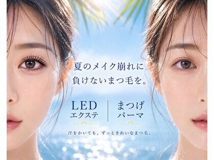 アディクト(ADDICT)の写真
