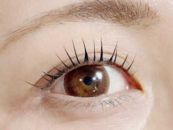 ロンド(Rond)/立ち上げデザイン