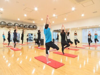 シーリンク(C-Link)/充実したスタジオプログラム