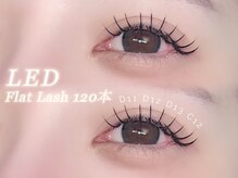 まつげパーマ/マツエク/眉毛　目元のことならお任せ下さい♪