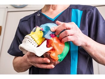 しあわせカイロプラクティックセンター/頭蓋骨の調整