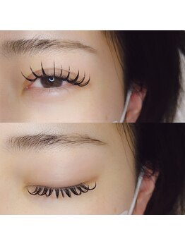 スターリー ラッシュ(Starry Lash)/人気No.1　バインドロック