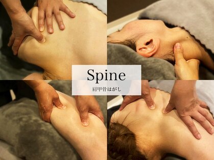 スパイン(SPINE)の写真