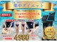 ベルフィーヌボーテ(BELFINE beaute)の写真
