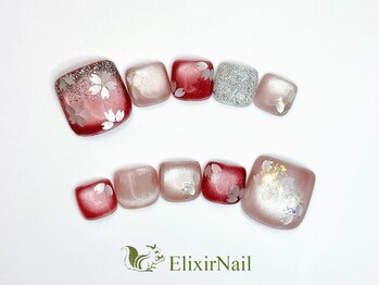 エリクサーネイル 新橋(Elixir Nail)/フットやり放題
