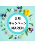 3月お得キャンペーン♪