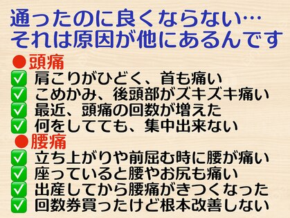 ニコ(nico)の写真