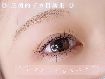 eyelash Cocoa 滝の水店/まつ毛パーマ/マツエク/美眉毛/アイブロウの写真