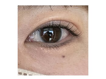 リヒト(Licht)/まつげパーマ