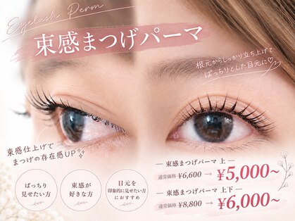 シロアイラッシュ(shiro.eyelash)の写真