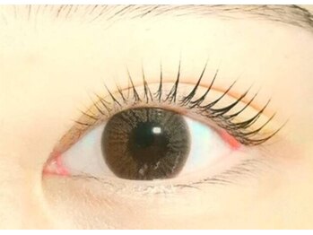 ラッシュプラス(Lash+)/パリジェンヌラッシュリフト