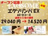 オープン記念！エクソソームリンパEX　【60分 29,040円 → 14,520円】