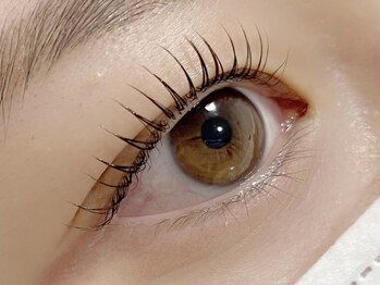 ロンド(Rond)/立ち上げデザイン