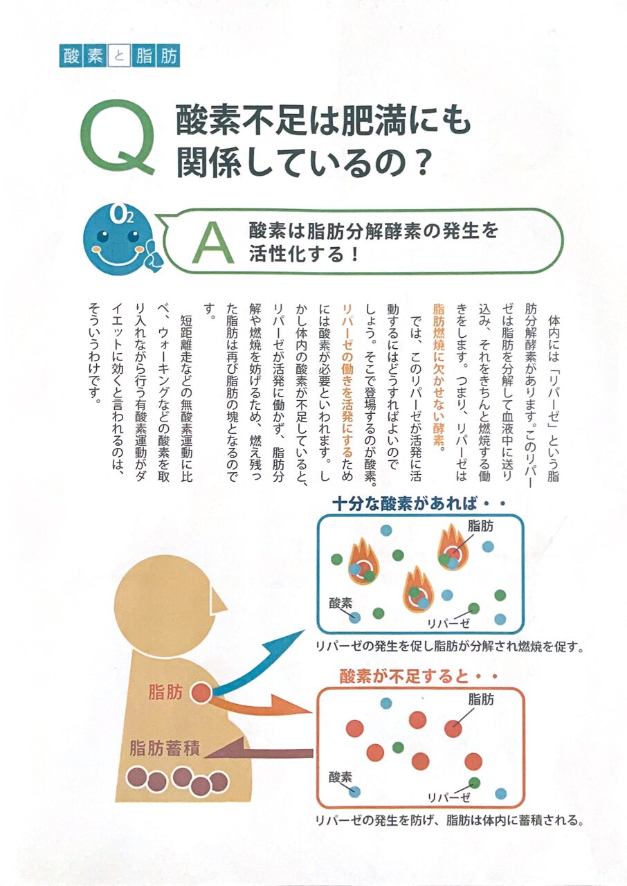 フォト2ページ目｜クレセント 成城(CRESCENT)｜ホットペッパー