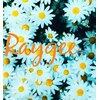 レイジー(Raygee.)ロゴ