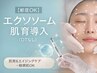 エクソソーム肌育導入（ダウンタイムなし）