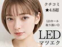 ルル 小倉京町店(LuLu)