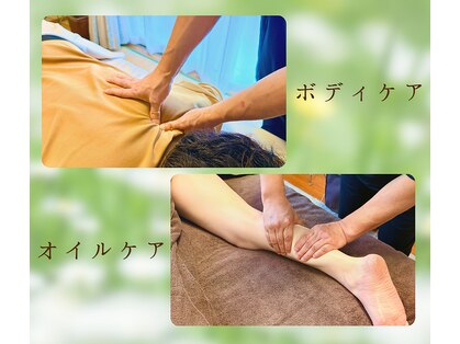 癒しの森の写真