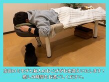 晴々の雰囲気（ミモザ店長と新人のおこげが癒しをさらに提供いたします！）