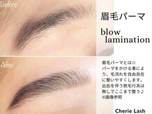 シェリーラッシュ(Cherie Lash)の雰囲気（眉毛パーマで毛流れ自在に♪出血.腫れを伴う脱毛行為はぜずに◎）