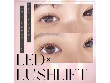 ミントラッシュ 八王子店の写真