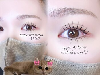 アイブロウ アンド アイラッシュ アイランド(ISLAND)/上下マスカラパーマ