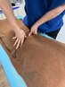 【新規】【猫背/反り腰/姿勢改善】全身もみほぐし整体×骨盤矯正 30分