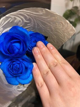 ブルーローズ(Blue rose)/