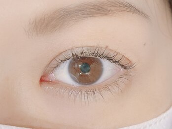 テラスヘア(TERRACE hair)/パリジェンヌラッシュリフト