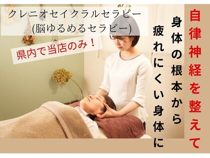 エール(aile)の写真