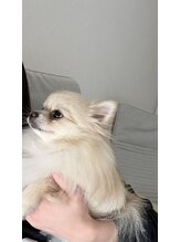 キヴィヴィ(Kivivi)&nbsp;あや 