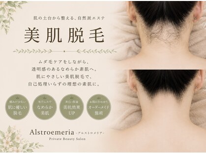 アルストロメリア(Alstroemeria)の写真