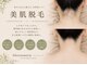 アルストロメリア(Alstroemeria)の写真