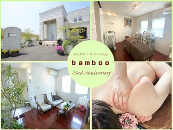 バンブー(bamboo)