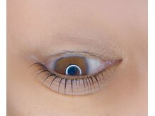 アイラッシュ リップル(Eyelash ripplu)/まつ毛パーマ