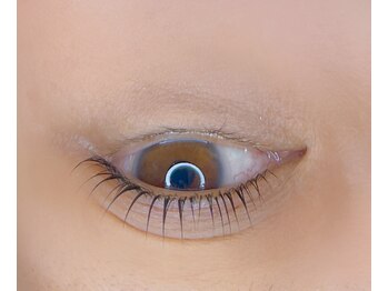 アイラッシュ リップル(Eyelash ripplu)/まつ毛パーマ