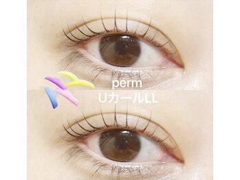 モアナ(moana)/まつ毛パーマ★立ち上げカール