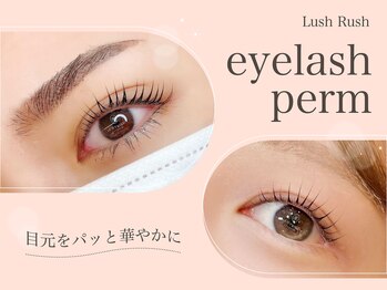 アイデュース 羽広店(eyeduce)/ハリウッドアイラッシュリフト