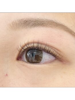 ウルア(Ulu.a)/フラットラッシュ120本