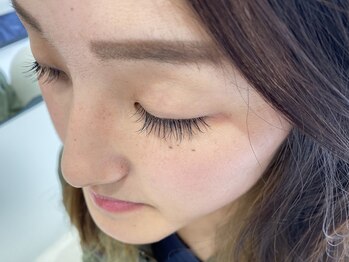 ジョリー(Jolie)/