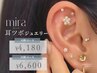 SNSで大人気★耳ツボジュエリー10粒￥4,180