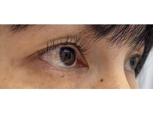 ジョリー(Jolie)/