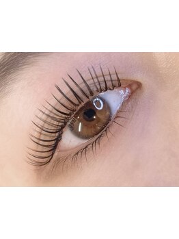 初めての方にオススメ