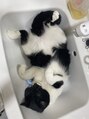 カルフール リル 草加駅西口店(Carrefour lir)&nbsp;愛猫ちゃん。毎日の癒しです！