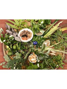 世界のリラクメニューを堪能したい