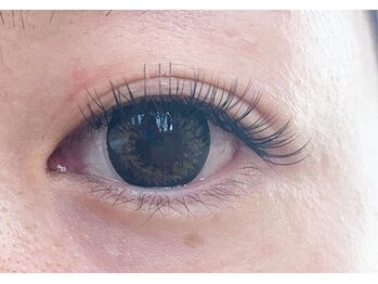 テイラー(Taylor)/140本　ＳＡＴＯ